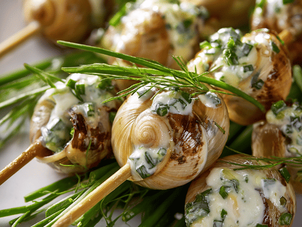 Mini Schnecken-Spieße Pastis