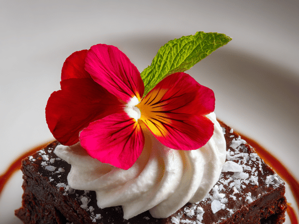 Rote Brownies mit Frischkäse-Twist